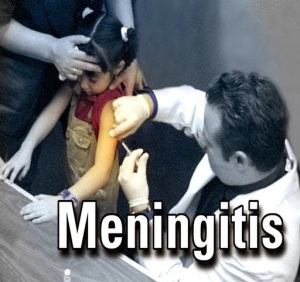 obat tradisional meningitis